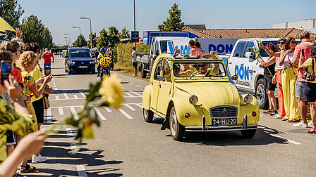 foto van gele eend uit de westlandse karavaan