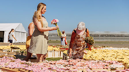 foto van dames die bloemen plukken bij het bloemenmozaiek